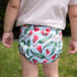 Monarch Store V2 Hybrid Fitted Nappy Cover